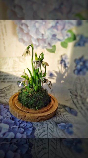 Подснежники ручной работы в стекле смотреть онлайн