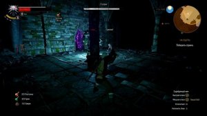 The Witcher 3: Wild Hunt. Эльфские руины. [Прохождение] #9