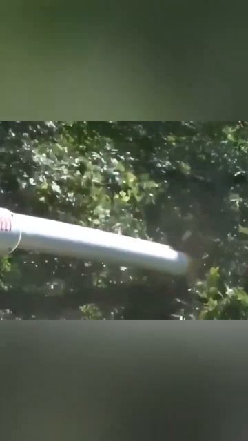 Вездеходный триммер для деревьев - палочка выручалочк смотреть онлайн