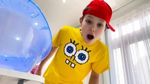 Мистер Макс Макс тренирует маленького щенка шпица