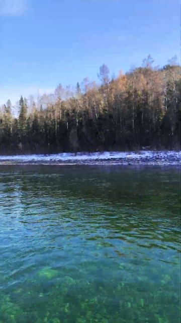 Отдых тайга #space #обои #рекомендации смотреть онлайн