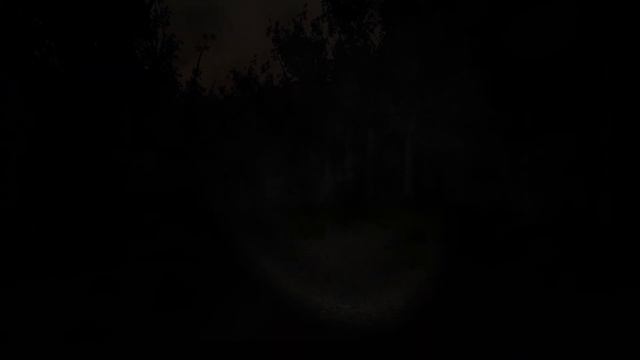 Руководство по прохождению новичка slender eight pages - Сущно смотреть онлайн