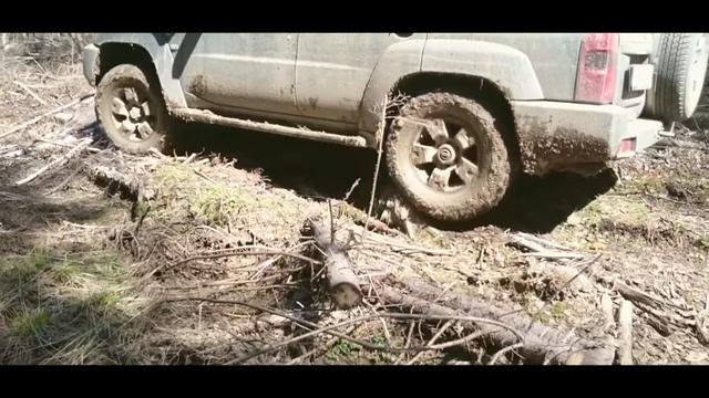 Костромские тропы