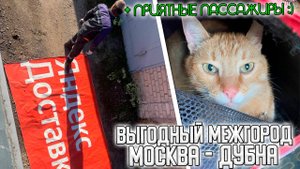 ОЧЕНЬ ВЫГОДНЫЙ МЕЖГОРОД В ДУБНУ! РАБОТА С ГРУЗЧИКАМИ + ПРИЯТНЫЙ ПАССАЖИР #яндексгрузовой
