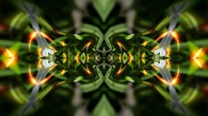 Футажи! Футаж Волшебный цветок К 6 от Киностудии Мудрого Кота Тимофея!!!