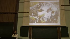 Зоология Богомолова Е.В. 14.12.13 часть 2