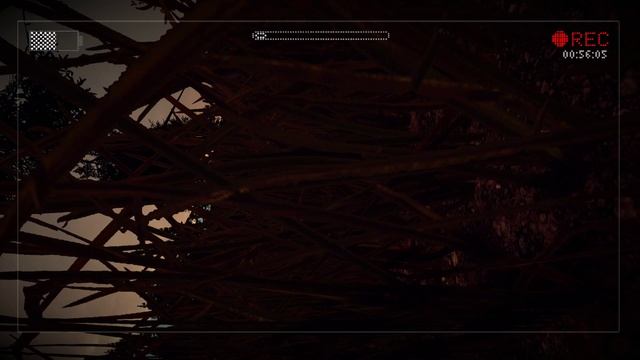 О чем была Slender: The Arrival смотреть онлайн