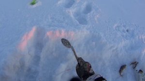 Порыбачили вечер 9 и 10 марта.