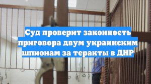 Суд проверит законность приговора двум украинским шпионам за теракты в ДНР