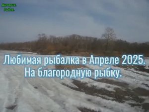 Весенняя рыбалка в Апреле 2025.
На благородную рыбку.