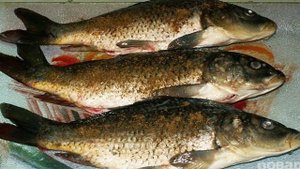 Карп в духовке, запеченный целиком