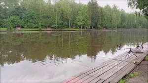Обзор по уловам и клёву осетра на Нижнем водоёме. Клёвое место лосиный остров.