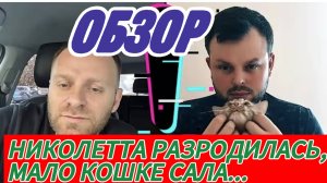 САМВЕЛ АДАМЯН, САЙГАЧОК НА ГРАНИ, СЕВКЕ НЕ ХВАТАЕТ ГРОШЕЙ, КОЛЯ УСТАЛ НАВСЕГДА..