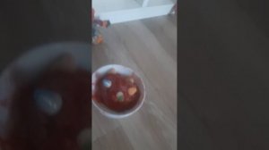 20250603_101357.mp4