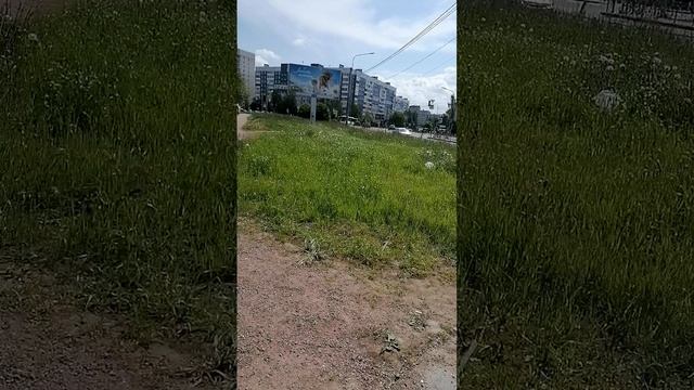 Лето, ах лето
