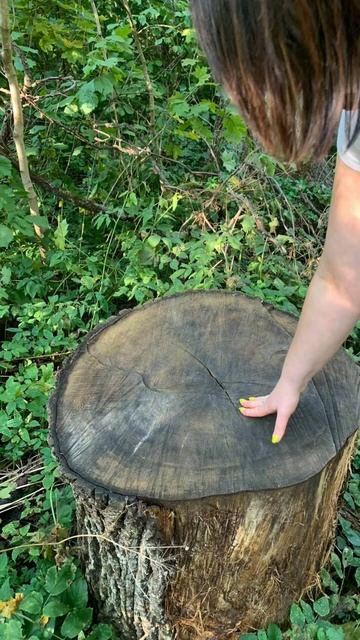 Воронежский заповедник,слияние с природой великолепн смотреть онлайн