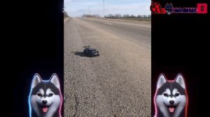 Дрифт машинка BMW радиоуправлении . Высокоскоростная 40?