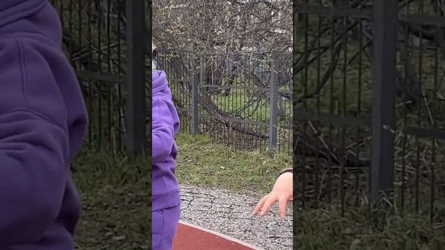 #367 Минута Ицюань / Ицюань и Цигун в Мурманске / Столбы и  проработка Шили (28.05.25)
