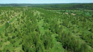 Земельный участок в Ваче №280