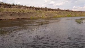 Рыбалка, июнь - на работу плюнь!