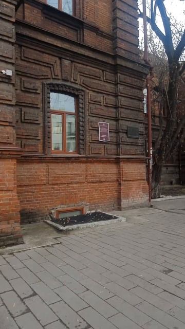 Бронзовые котики на стене Педагогического университе смотреть онлайн