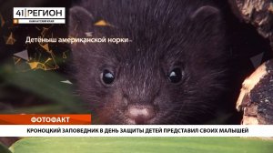 Новости Камчатки за 03 июня 2025 года