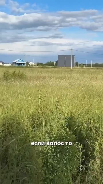 #строительство #домизгазобетона #современныйдом #лучш смотреть онлайн