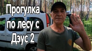 Прогулка по лесу с металлоискателем Дэус 2