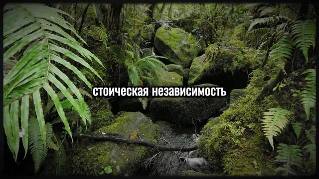 Отсутствие друзей говорит о том, что человек глубоко...