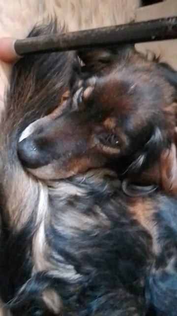 обои самоклеющие.... смотреть онлайн