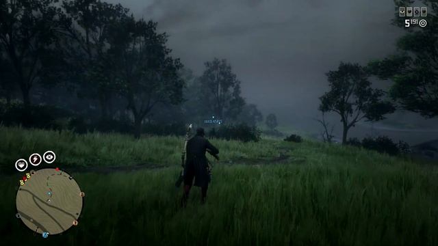 Читер в РДР 2 Онлайн с ником ADAMUZG смотреть онлайн