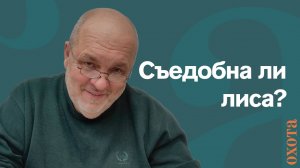 Съедобна ли лиса? Валерий Кузенков о мясе лисы.
