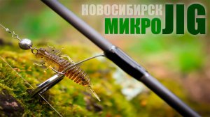 Поставил эту приманку и влетел первый ТРОФЕЙ / Рыбалка на микроджиг в НОВОСИБИРСКЕ.