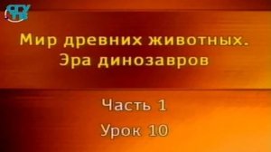 Динозавры # 1.10. Стегозавры