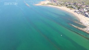 Проблемы экологии Каспийского моря обсудили в Санкт-Петербурге