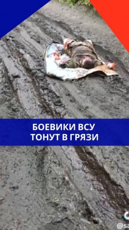 Раненые боевики ВСУ тонут в грязи. Посмотрите на этот цинизм командования ВС Украины