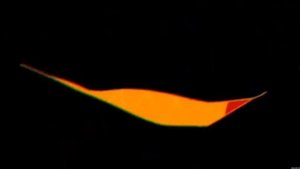 песня, про Картун Кэта,котик создан убивать