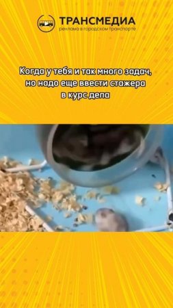 а вы успеваете?