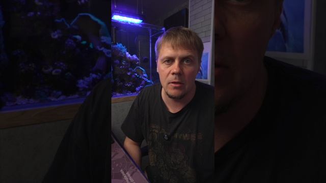 Новые кораллы приехали! Показываю, что получил 🌈🐠