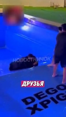 Новостничок (35)