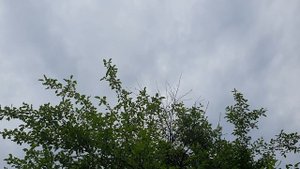 Небеса