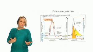 Физиология человека и животных. Биоэлектрические потенциалы (Зыбина А. М.)