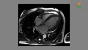 Физиология человека. Современные методы диагностики - МСКТ и МРТ (М. Шабанова и Г.Ширяев)