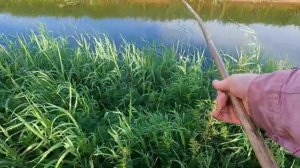 Не зря приехал — улов на месте