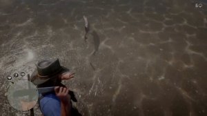 Red Dead Redemption 2|Гайд по рыбалке в РДР 2