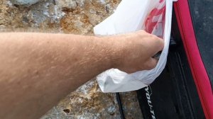 Натаскал крупняка. Ставрида с берега.