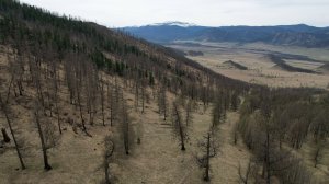 Продажа земельных участков  в горном Алтае 519,521,523