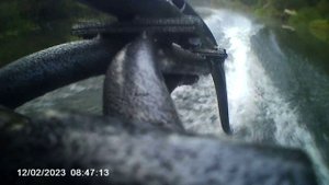 Мотор болотоход Лифан 7.0 с гибким вало, винт 8.