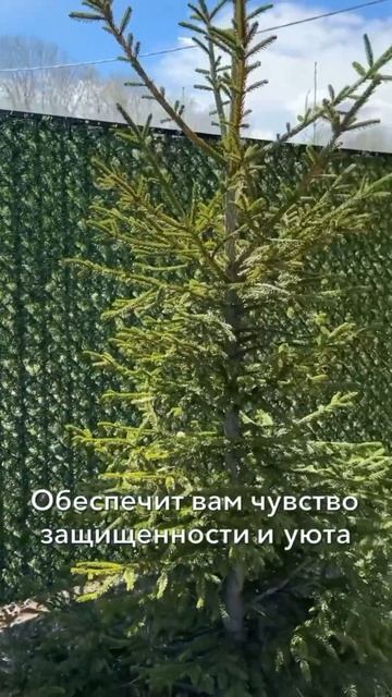 Зеленые заборы премиум класса для любых территорий 🌿