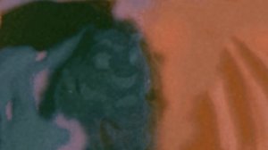 Муфаса клип(ночь) (король лев)